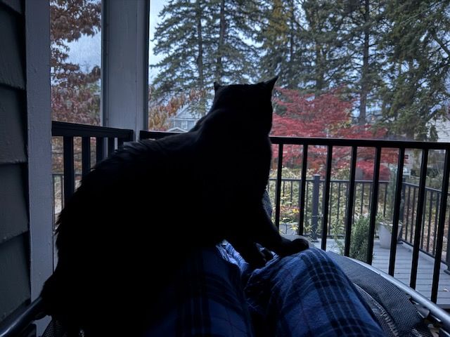 Mr. Albrecht, preparing for laptime but also distracted by the scents and sounds carried on morning breeze.