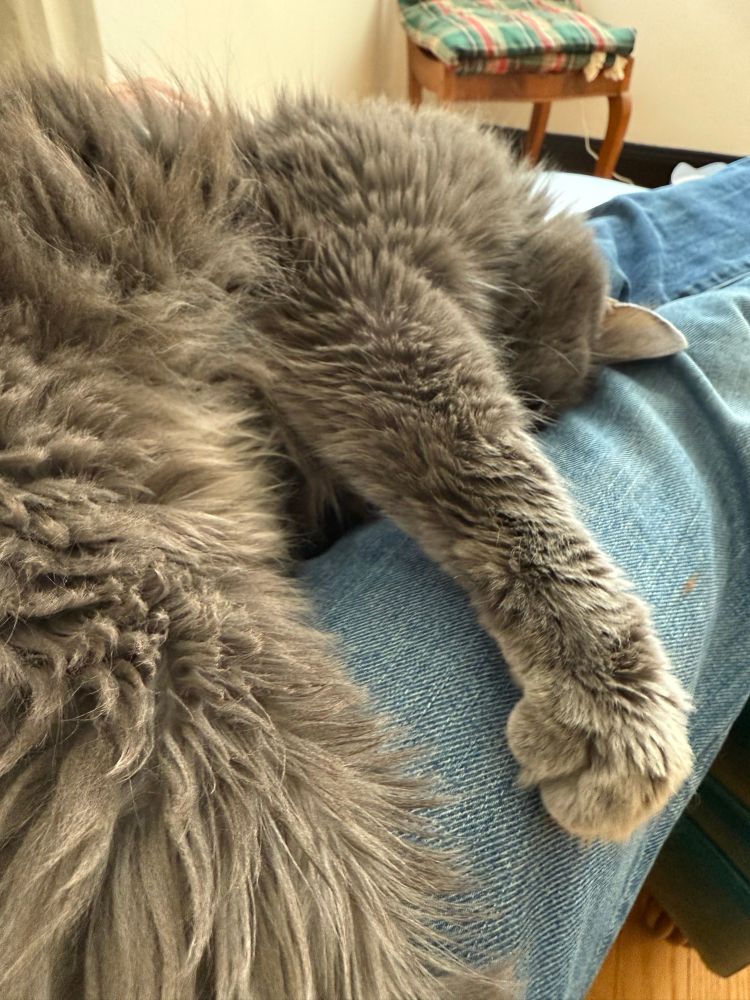 Mr. Otto, enlapped and asleep.