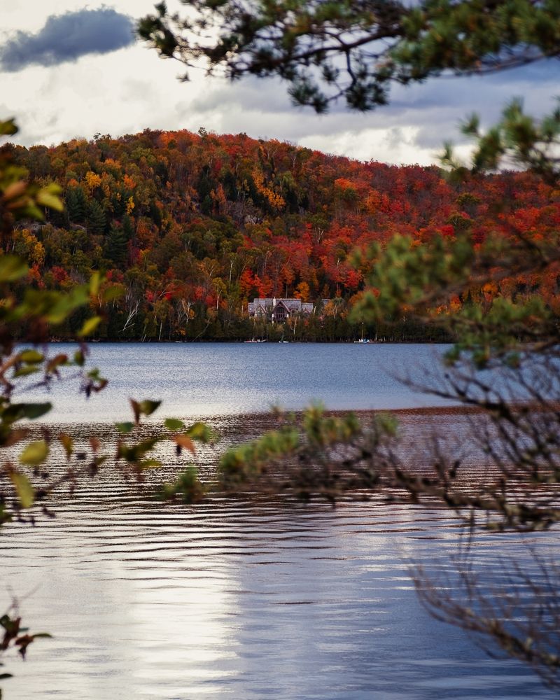 A singular house in the distance surrounded by fall colored trees (red, orange, yellow, and green mixed in.) In front of the house is a lake that extends all the way to the foreground of the photo. There are some blurry branches in the foreground outlining the house. 