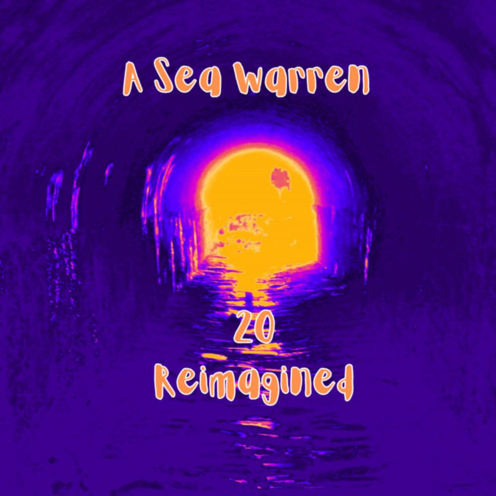 20 Reimagined, by A Sea Warren