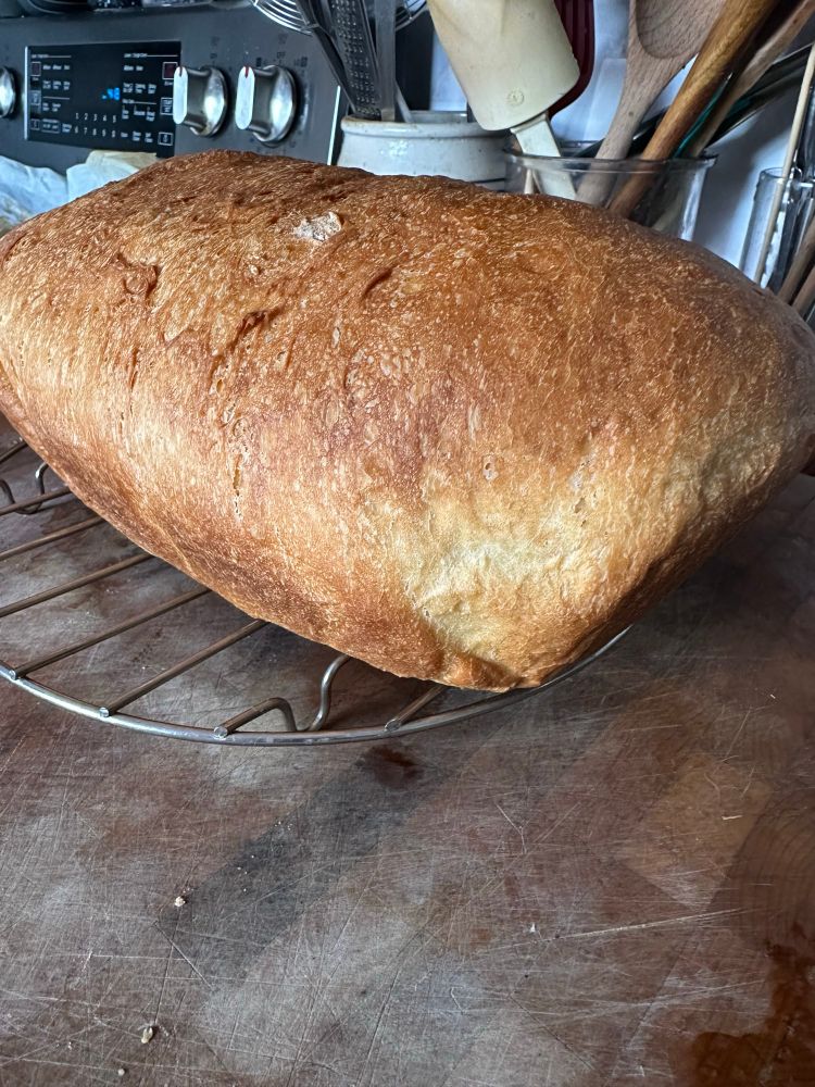 A whole loaf of baked bread fresh from the oven.