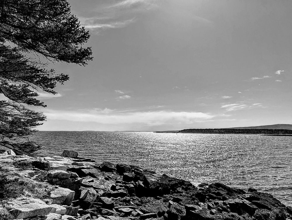Black and white image of the water. A tree in the left hand side rocks in front. A mountain off in the distant wispy clouds