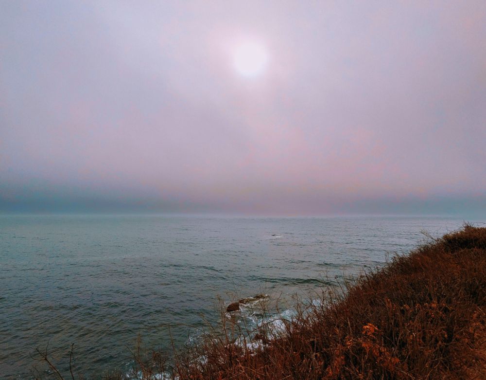 Long exposure picture of the sun fog in front ocean in the center. A grassy knoll on the right hand side