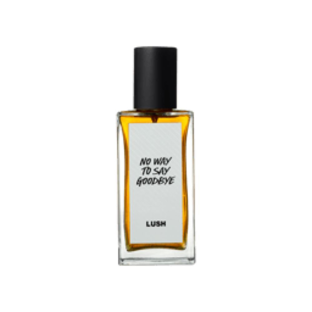 Hey, That's No Way To Say Goodbye | Lush Core Perfume 2024 Range - Luke Sam Sowden