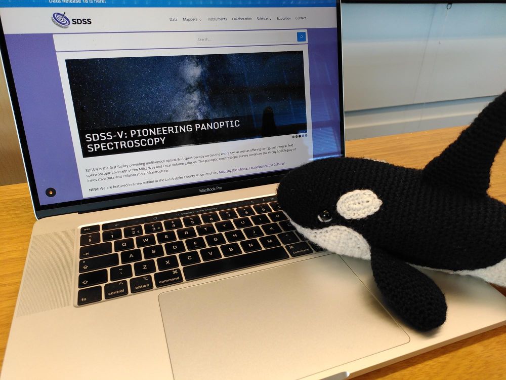 A laptop is open, showing the Sloan Digital Sky Survey home page www.sdss.org in a browser. A crocheted orca on the right is lying on the keyboard.