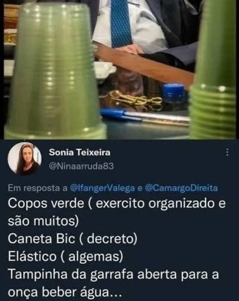 print de um post na rede social nazista X (antigo twitter) de uma mulher bolsominion completamente desconexa da realidade apontando mensagens subliminares inexistentes num vídeo do inelegível ex-presidente jair bolsonaro