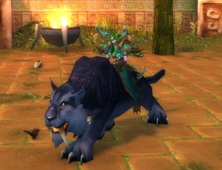 My character atop the Swift Zulian Panther! A nightsaber with a sleek dark black coat with a huge head, hackles, and fangs. They have sharp pointed ears, bright yellow green eyes, and three pointed claws on each paw. And a snoot meant for smooching. <3