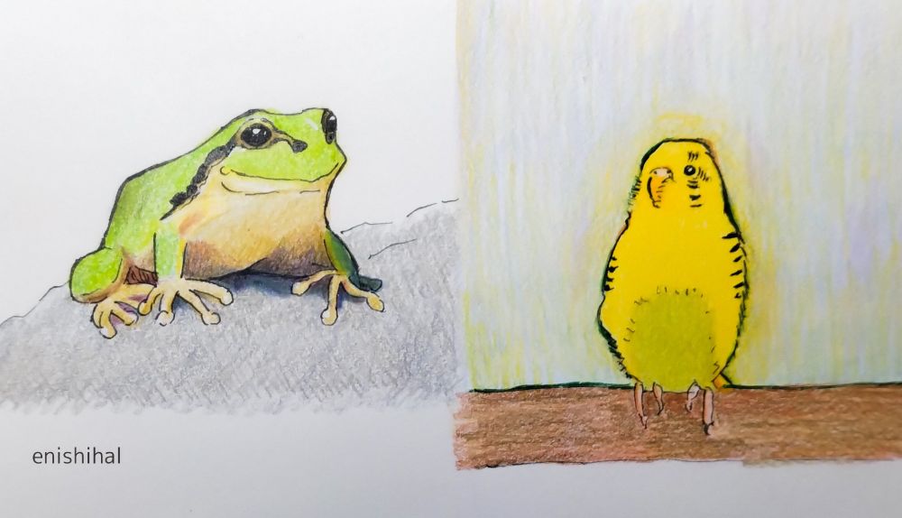 アマガエルとインコ