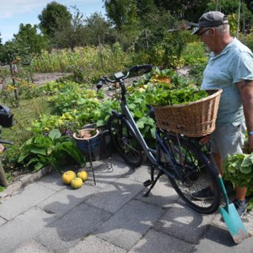 De pfas in de eieren van kippen bij Dordrecht komt van regenwormen, niet van  Chemours