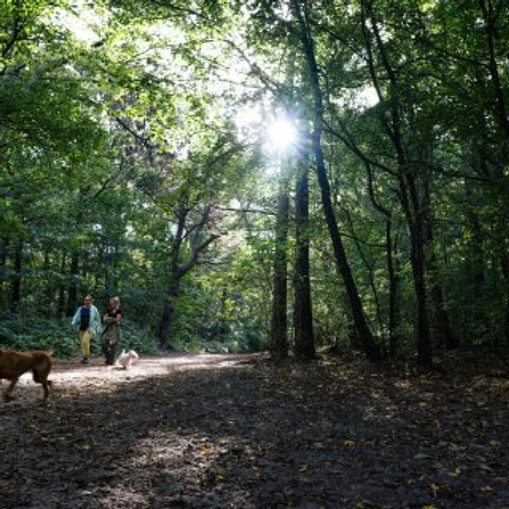 Na een nat voorjaar en een warme zomer: hoe staat de natuur ervoor?