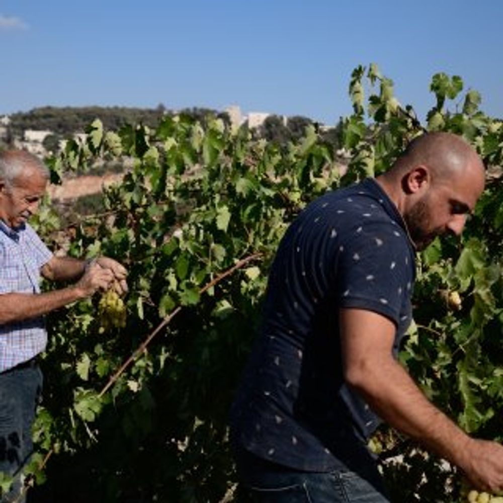 Voor een Groot-Jeruzalem moet alles wijken: van Palestijnse families tot werelderfgoed