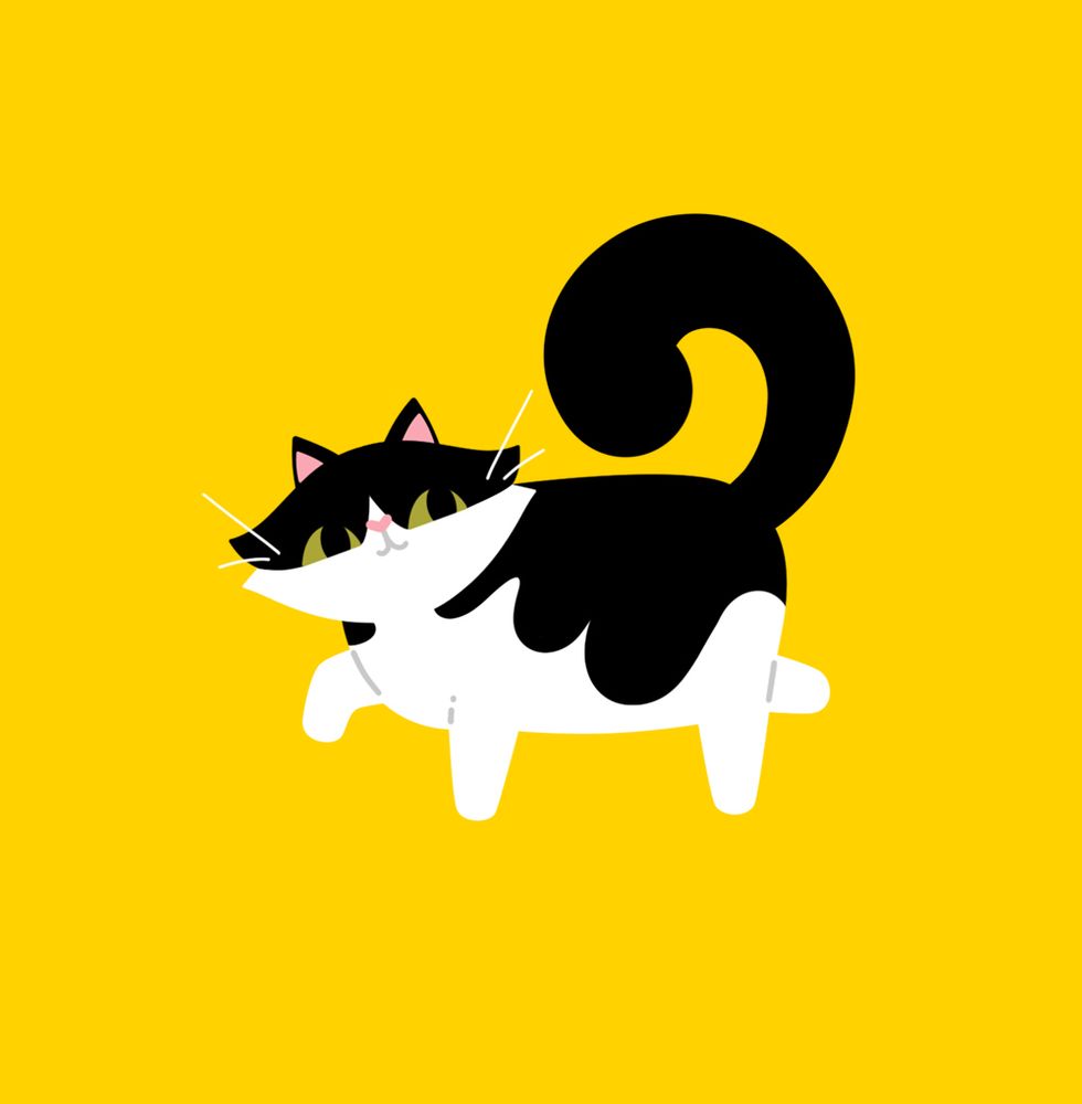 illustration of a black and white tuxedo cat slowly strutting across a yellow background. she is looking back over her shoulder as if she is plotting something. 