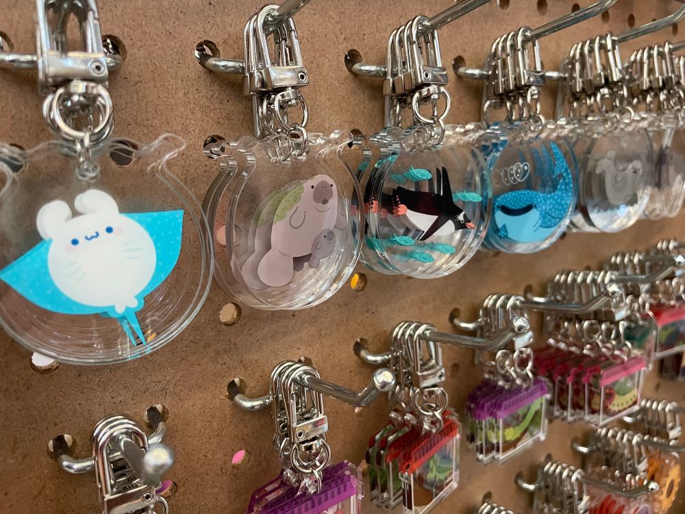 Photograph of acrylic keychains shaped like fish bowls against a pegboard. The keychains have a variety of marine animals- manta ray, manatee, penguin, whale shark and seals. 