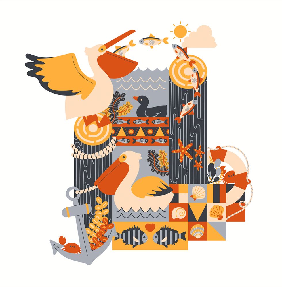 an illustration of pelicans, crabs, fish, and a duck in a minimalistic but really cool style. or at least the artist thinks so. 