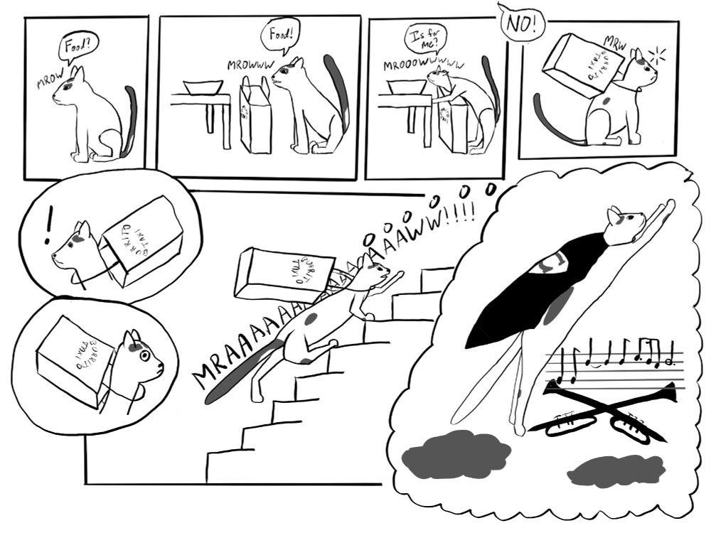 A black and white comic about a cat. He sees food on the table and thinks it's for him. He sticks his head through the handles of the bag it came in trying to get at it. When told no, he turns away, but the bag is stuck around his neck. He realizes this with alarm, then bolts up the stairs meowing loudly, bag flying behind him. In the last panel, he imagines himself flying through the air with a cape on as the Superman theme plays. 