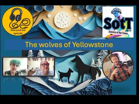 Science Of The Times EP17 - Why Wolves Don't Change Rivers: focus on #yellowstonenationalpark
