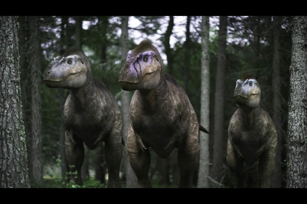 Three Albertosaurus, the central one heavily scarred, emerge from the forest.