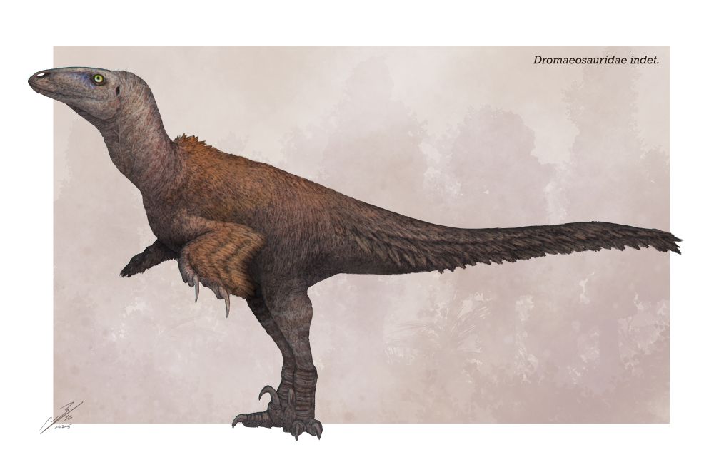 A dromaeosaur dinosaur, brown and white 