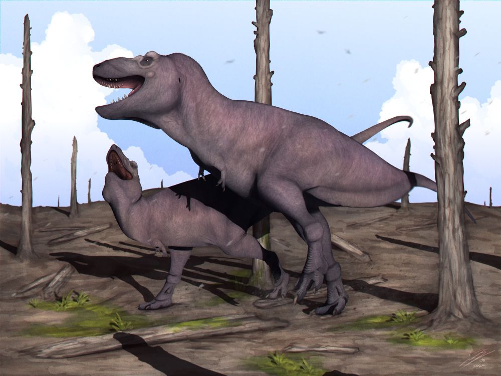 Illustration of two tyrannosaurs doing a courtship dance through a burnt out forest