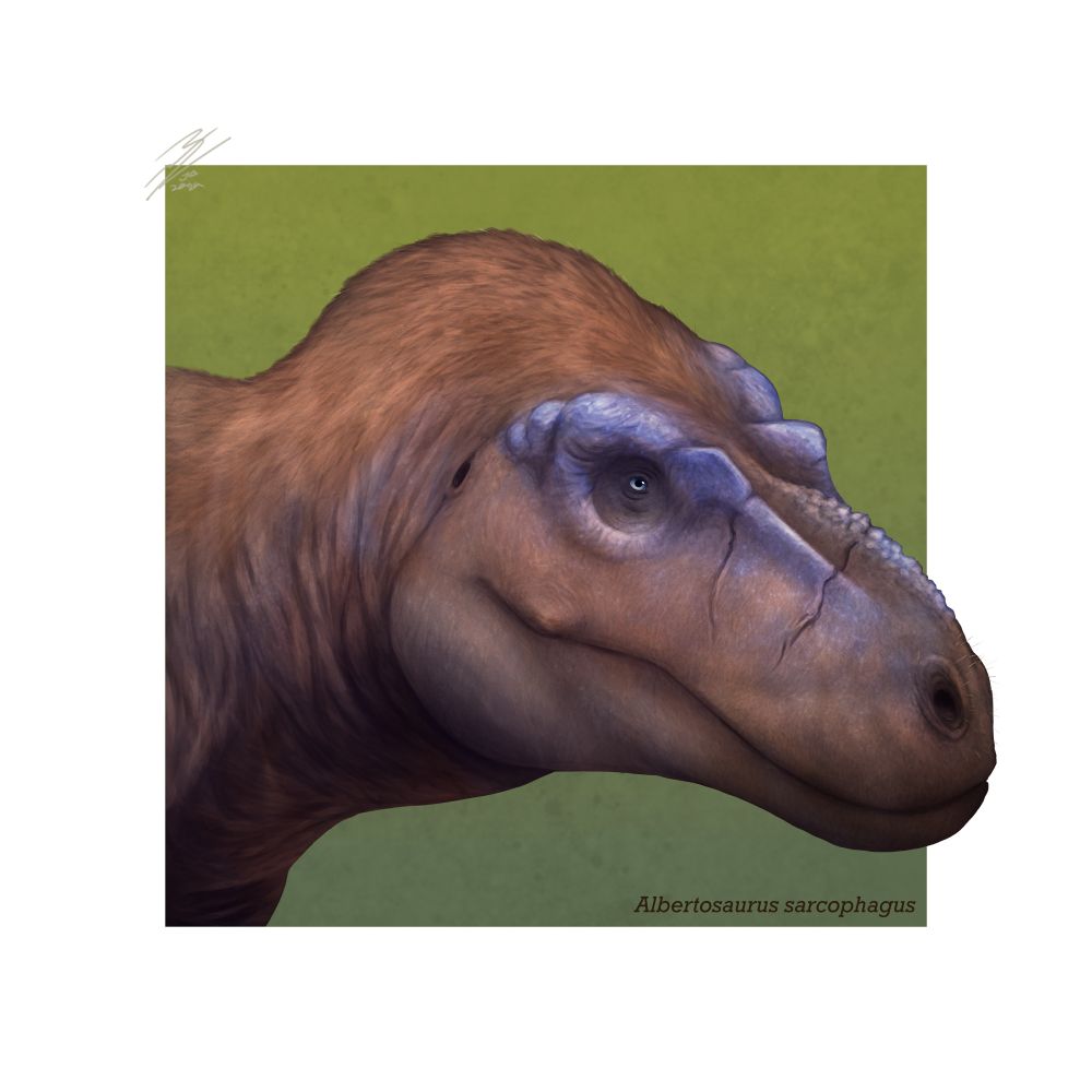 A portrait of Albertosaurus as seen on Walking with Dinosaurs 2025.
