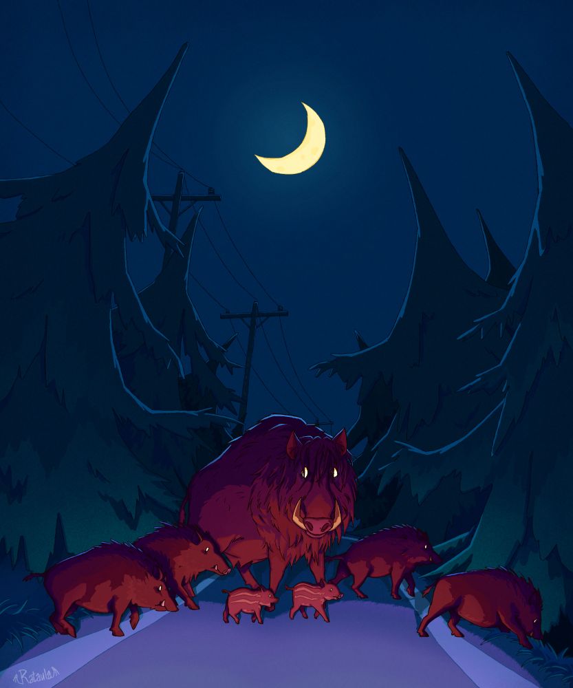 Digital illustration of a family of wild boars crossing a small road in the woods