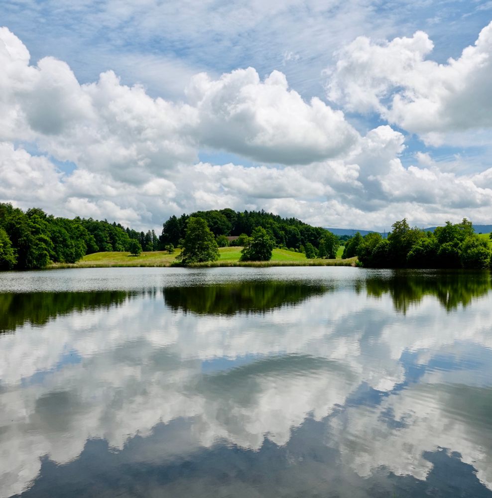 Ein See an einem sonnigen Tag mit Spiegelungen von weißen Wolken und grünen Bäumen auf der Wasseroberfläche. Im Hintergrund sind sanfte, von Wäldern bewachsene Hügel zu sehen.