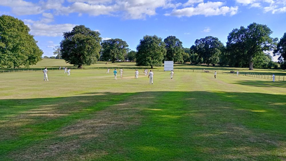 Cricket game going on underneath a Simpsons credits sky, mainly blue with a few fluffy clouds. The ground is surrounded by open fields with large trees dotted every 20 metres or so. The foreground is in the shade as the sun is behind us.
