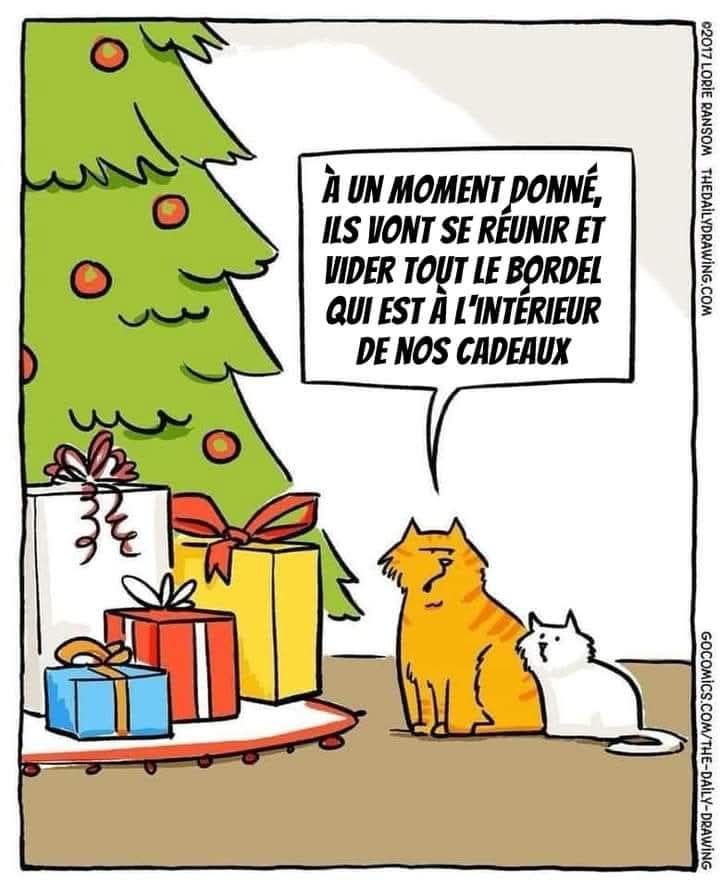 C'est le dessin d'un sapin de Noël avec des cadeaux au pied. 
Deux chats discutent devant, et un chat roux explique au chat blanc qu'à un moment donné, les gens vont vider tout le bordel qui est à l'intérieur des cadeaux des chats...