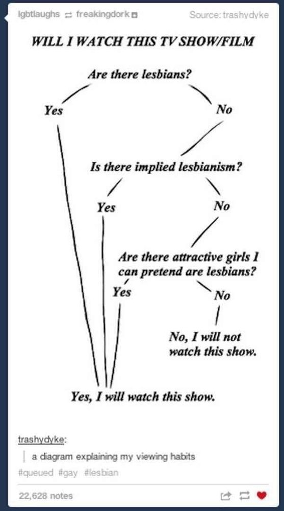 Is a picture of a text with the title: Will I watch this TV show/film.
Are there lesbian ? if yes, I will watch it. If No second question : Is there implied lesbianisme ? If yes I will watch it. If No next question : Are there attractive girls I can pretend are lesbian ? if yes I will wacht it if no I will not wacht it.