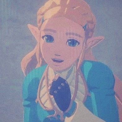 princess zelda from breath of the wild