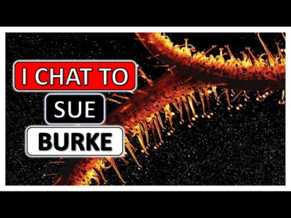 Sue Burke, author of Semiosis and Interference, in conversation