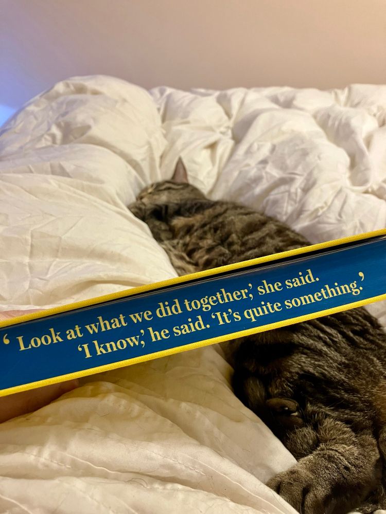 Chip the tabby cat snuggled into a duvet behind a copy of You Are Here by David Nicholls. The sprayed edges read "look at what we did together," she said. "I know," he said. "It's quite something."