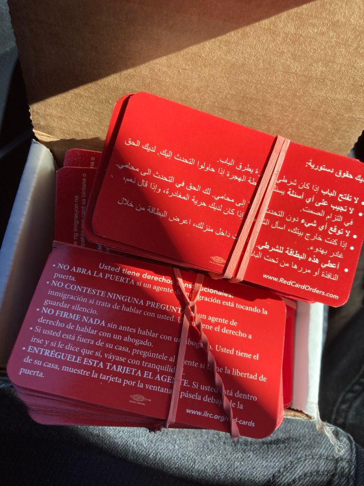 A pile of red glossy business cards in Spanish and English that guide folks of what to do when ICE tries to speak to or detain a person. Each pack has a red rubber and around it 
