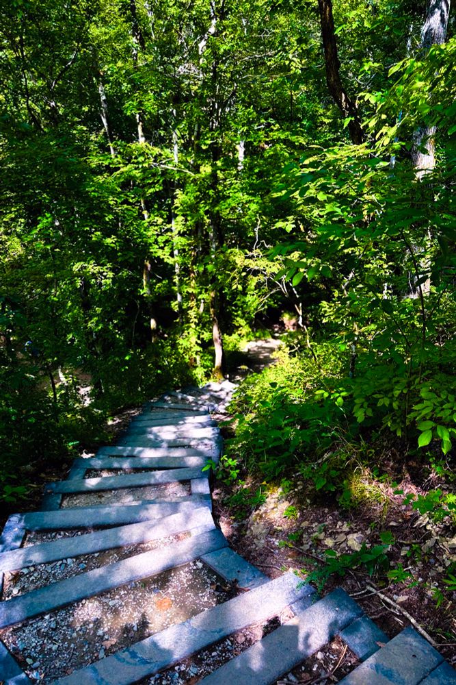 Narrows of the Harpeth winding stairway 
TN - 2025 