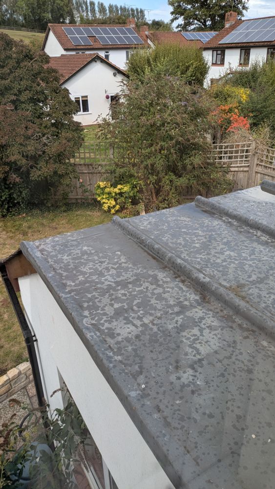 Photo of a flat leaded roof with raindrop, with a garden backdrop.