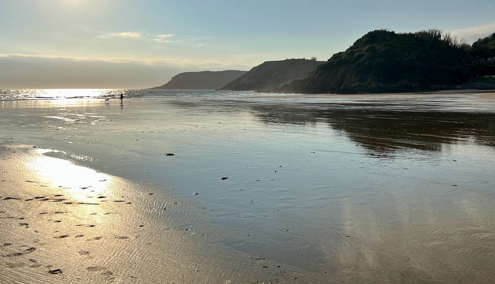 Landscape of a huge deserted wet beach backed with three dark wooded cliff outcrops fading to the sunlit horizon. A woman and her dog are tiny dark silhouettes by the distant low breaking waves. The sun shines golden on wet sand and the thin covering of water reflects muted blues and greys. 