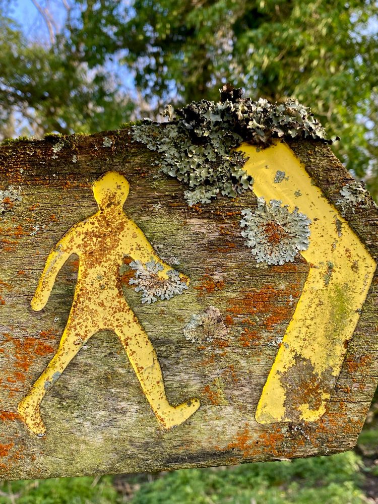 Old wooden footpath sign covered in lichens with the walking figure and arrow in yellow. 