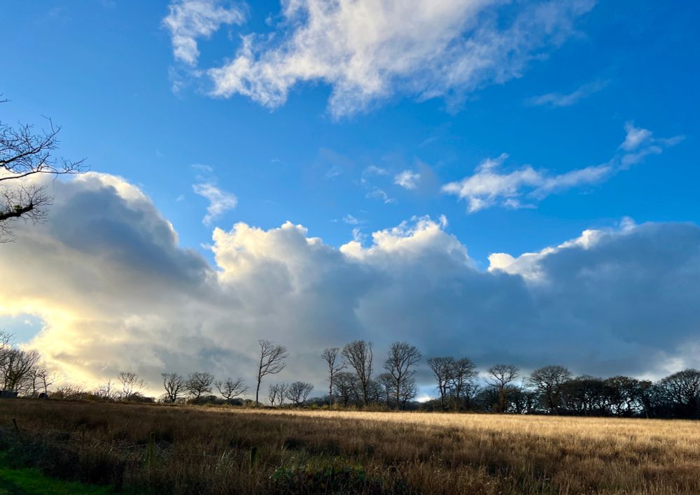 Sunny showers at the WTSWW nature reserve, Cartersford on Gower. Shafts of low sunlight light the pale golden grassland. Leafless trees in the distance.