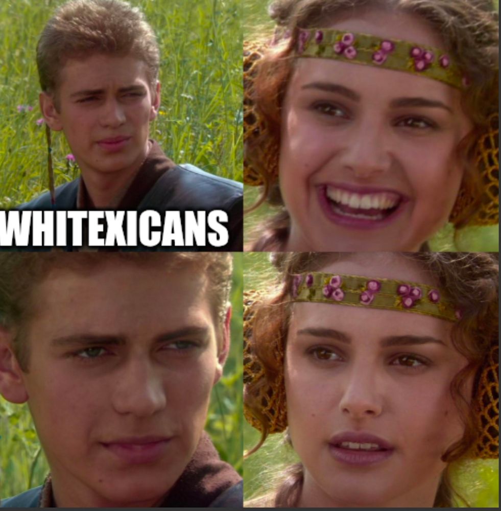 Anakin/Padme meme with the caption Whitexicans in first panel 