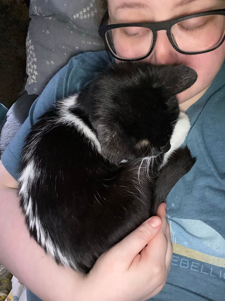 Kisy the black and white cat curled up in a little ball on my chest, her face leaned against mine, her bum cradled in my hand to hold her in place