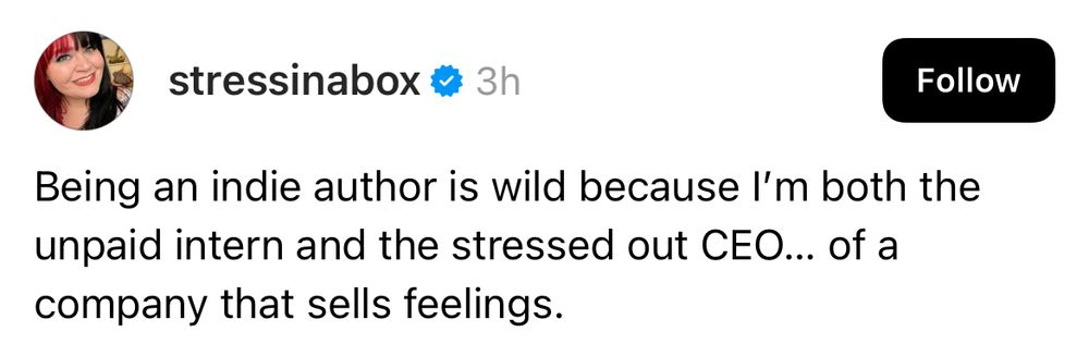 Being an indie author is wild because I’m both the unpaid intern and the stressed out CEO… of a company that sells feelings.