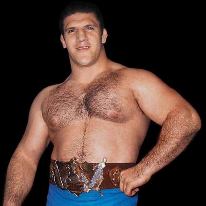 Bruno Sammartino