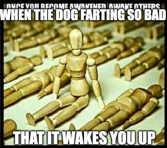 Image macro of several artist's drawing mannequins laying down, with one in the center sitting up. The macro text up top is overlaid by other macro text but still visible, and the original text reads "Once you become awakened, awake others".

The overlaid macro text reads:
WHEN THE DOG FARTING SO BAD
THAT IT WAKES YOU UP 