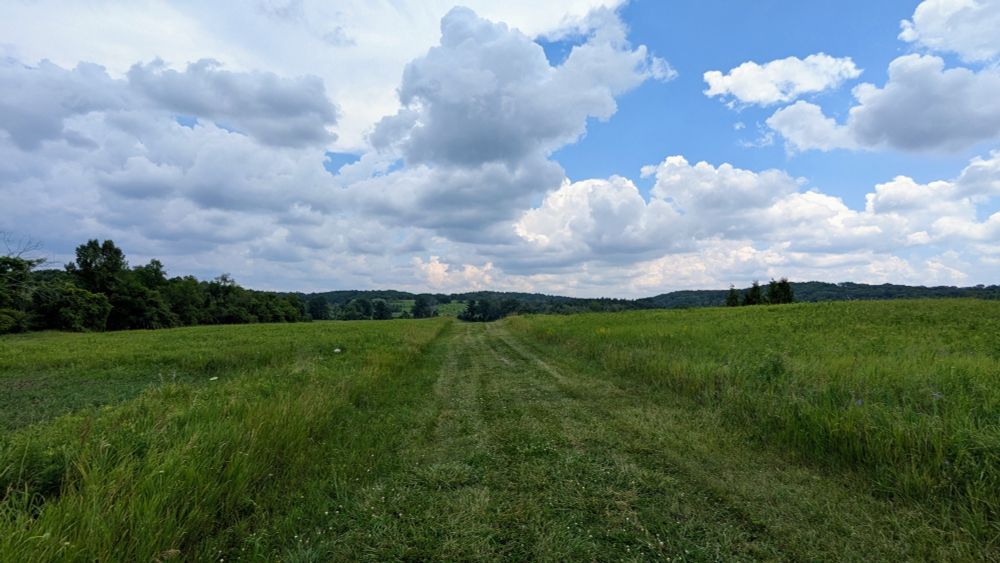 Vista of fields at the Koffler Scientific Reserve, University of Toronto.