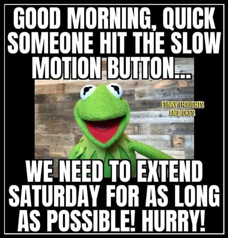 Kermit the frog - Good morning, quick someone hit the slow motion button...we need to extend Saturday for as long as possible! Hurry!