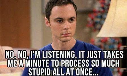 NO, NO, I'M LISTENING, IT JUST TAKES ME A MINUTE TO PROCESS SO MUCH STUPID ALL AT ONCE…
