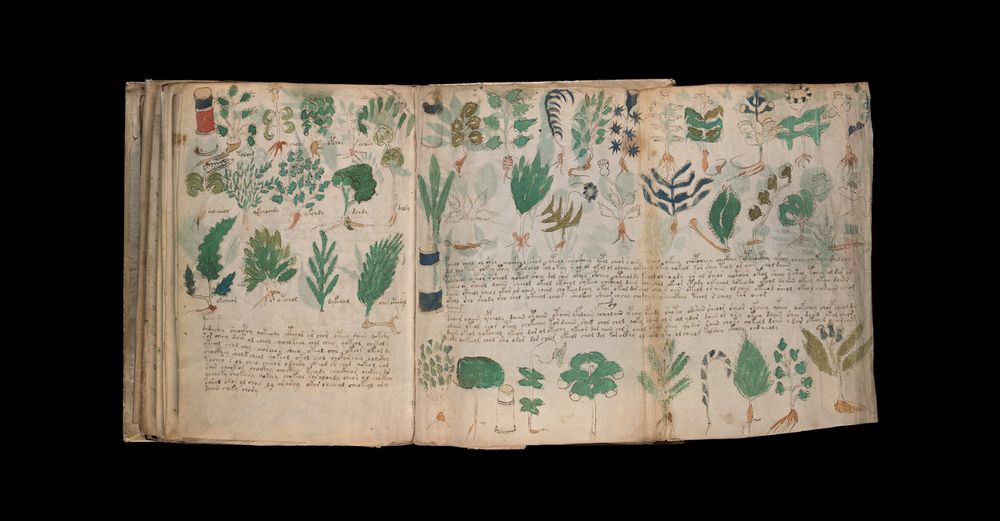 Will the Mystery of the Voynich Manuscript Ever Be Solved? - The Atlantic