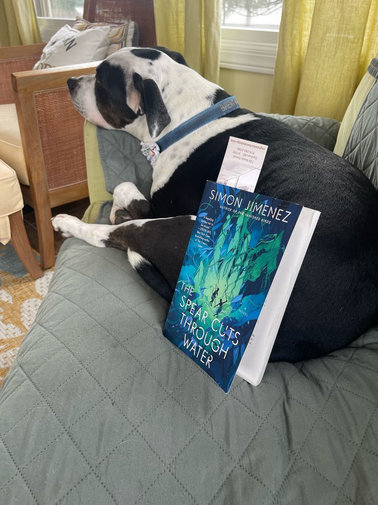 Picture of a really cute dog resting on a couch with a book laying against him. The title of the book is “A spear cuts through water” by author Simon Jimenez