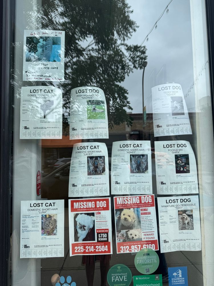 Various missing pet posters with contact info