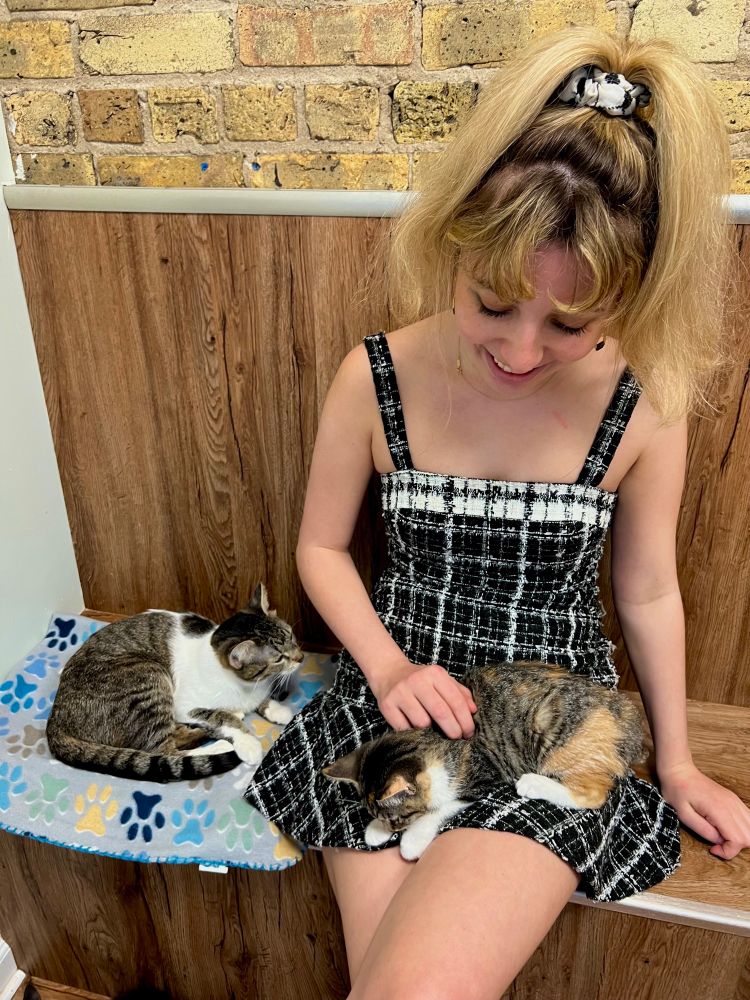 I’m sitting on a bench in a black and white plaid minidress and a high ponytail. My hand is on a little calico kitten named Sprinkle. Her head is the size of a walnut. Next to me is a white and brown-striped cat named Tofu who is looking on curiously. She just received a bunch of pets.